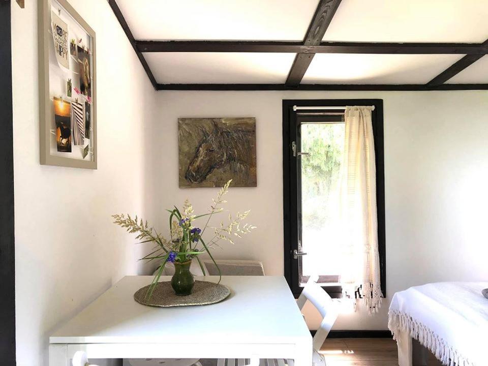 Apartamenty Lajkonik Dabrowno  Luaran gambar