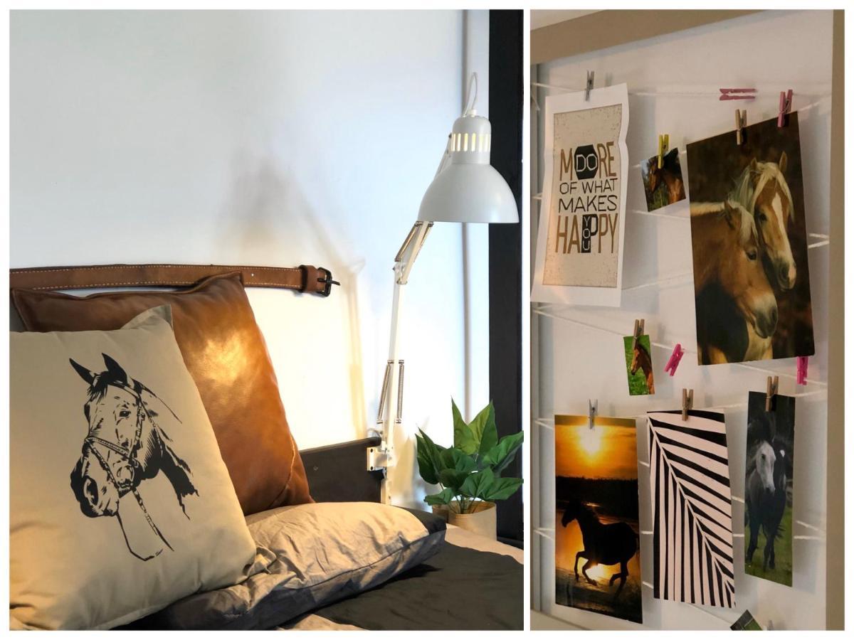 Apartamenty Lajkonik Dabrowno  Luaran gambar